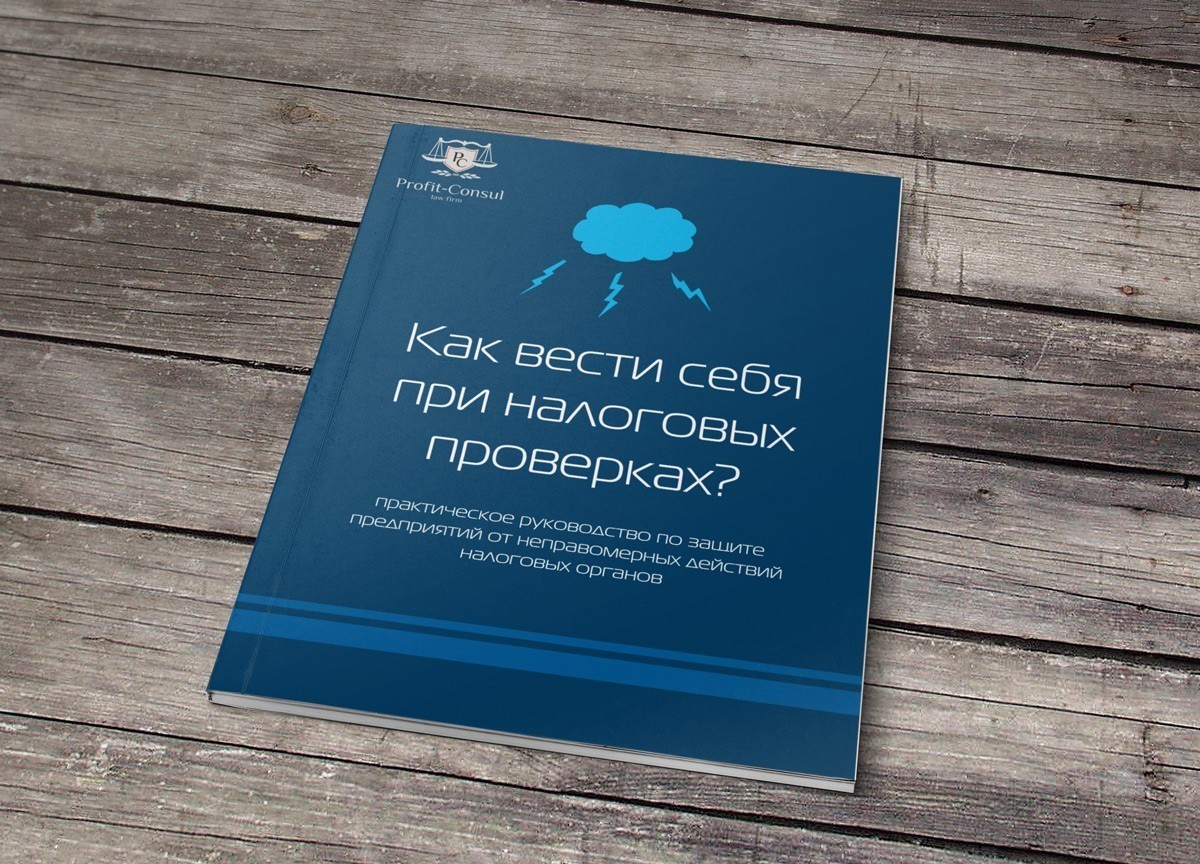 webmister-profit-consul-01