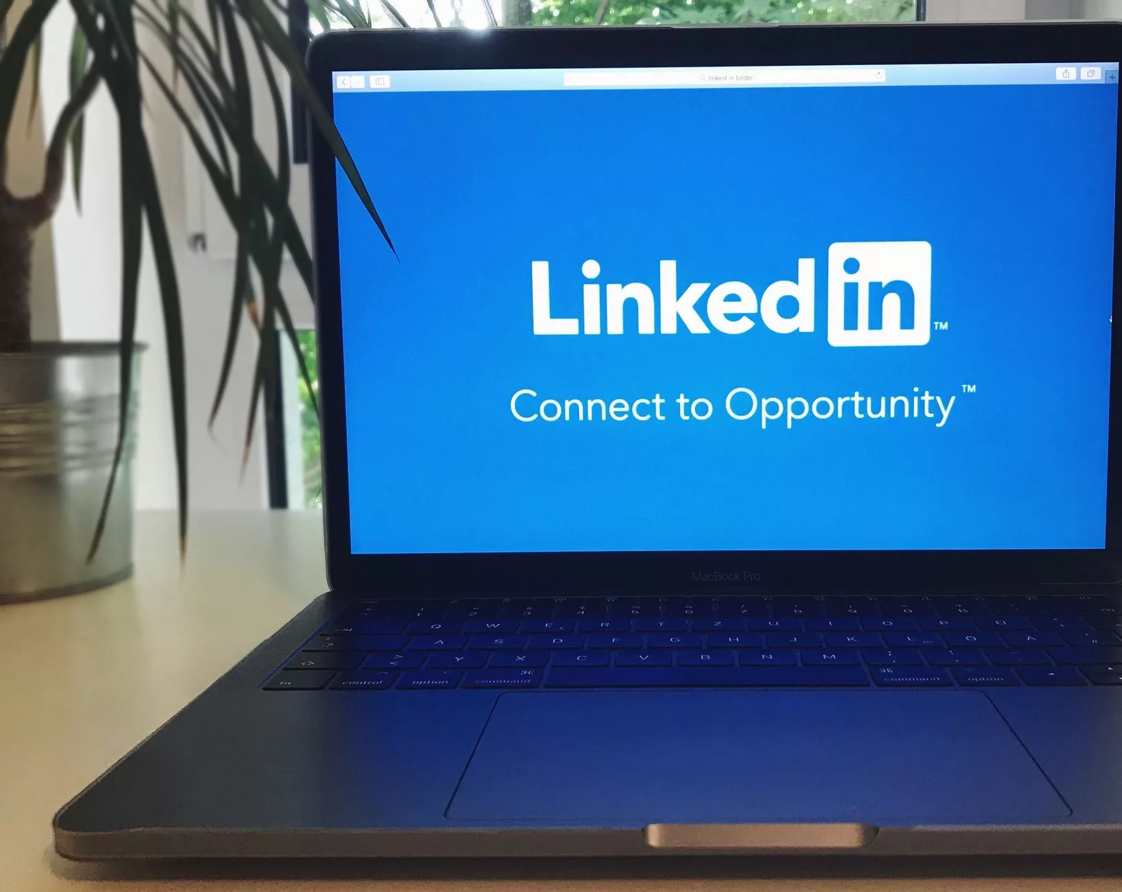 The Core Truth: Why 'Is WordPress Actually Free?' Has a Complicated Answer wordpress website builder open on a modern laptop screen