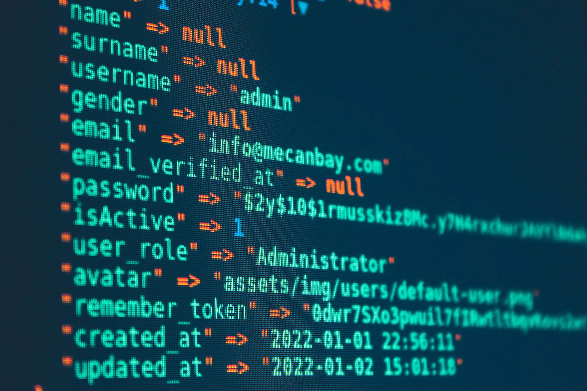 The Great Misconception: Why Is WordPress Actually Free? software developer working with lines of code on a computer monitor