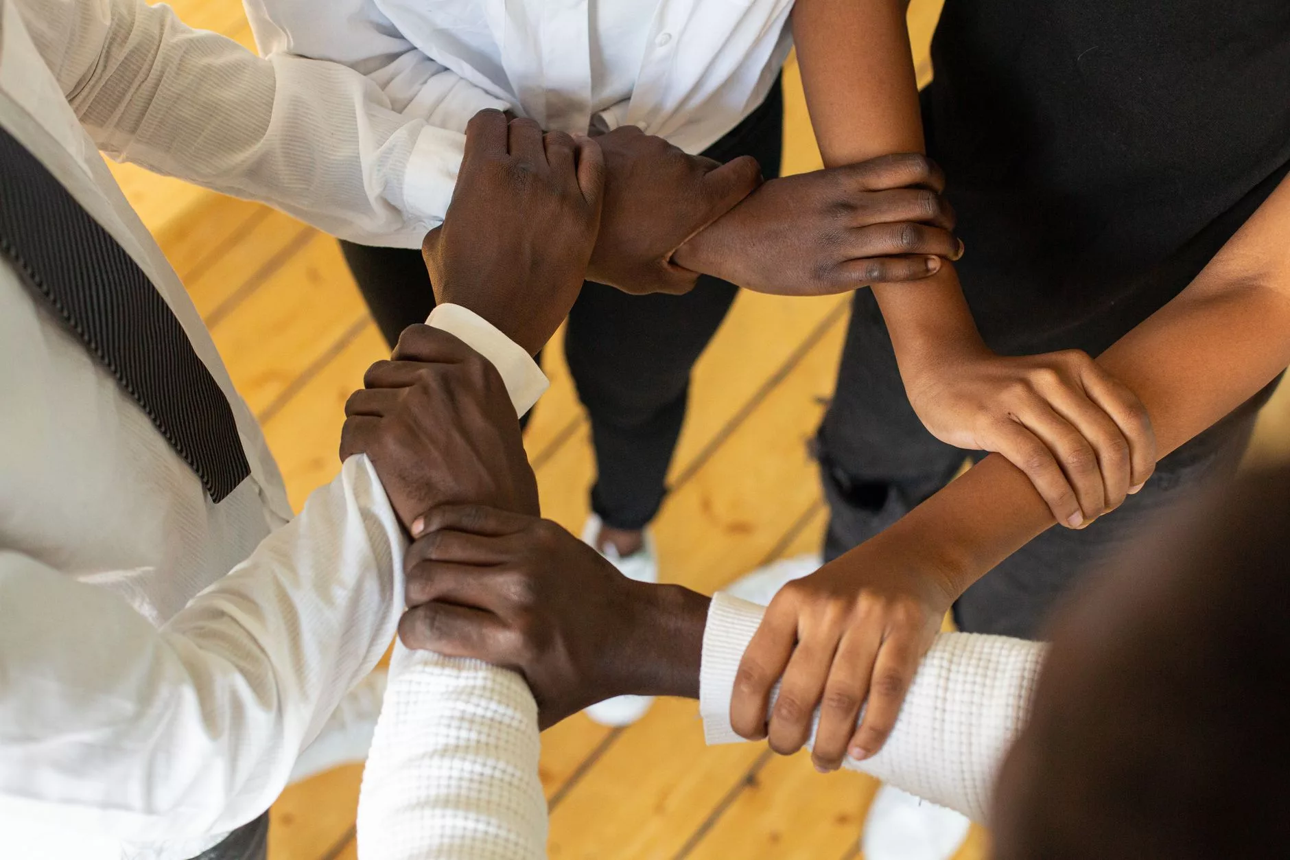 WordPress Takes the Lead at the Open Website Alliance