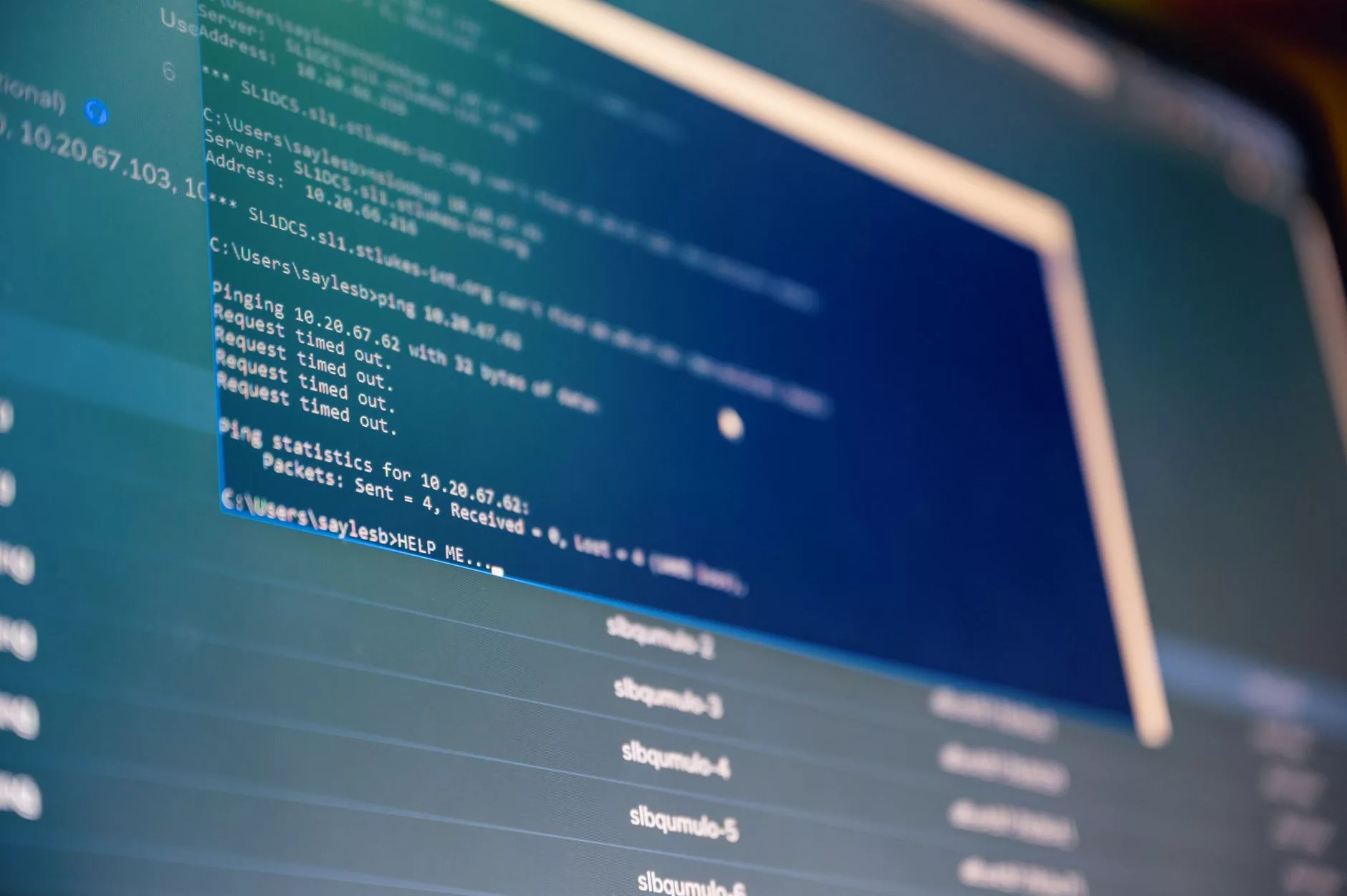 Anatomie eines vollständigen WordPress-Backups: Dateien im Vergleich zu Datenbanken